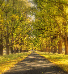 Image showing dreamy autumn road