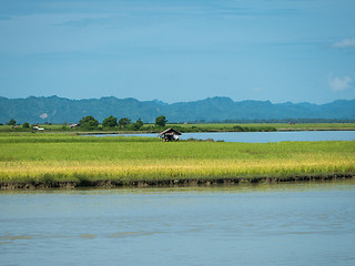 Image showing The Kaladan River in Myanmar