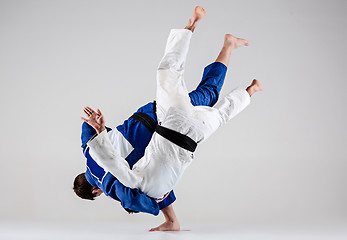 Image showing The two judokas fighters fighting men