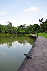 Image showing Lake in Singapore Botanic Garden