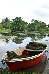 Image showing Red boat in Singapore Botanic Garden