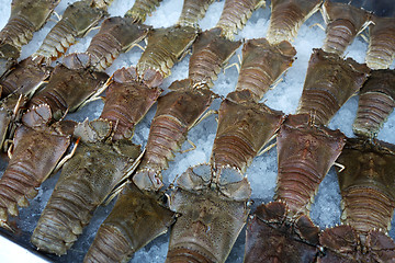 Image showing Many fresh crayfish at seafood market