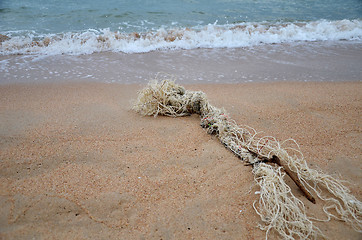 Image showing Old fishing ropes at the beach