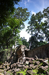 Image showing Ta Prohm Temple, Angkor, Cambodia