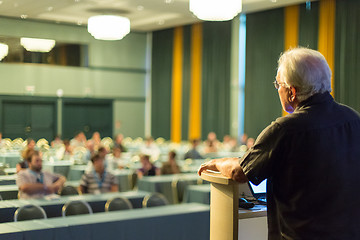 Image showing Senior public speaker giving talk at scientific conference.