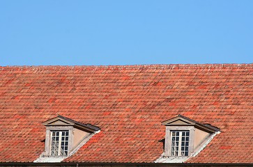 Image showing Roof and windows