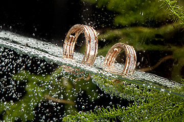 Image showing Golden Rings In The Water