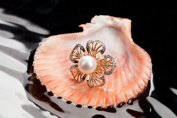Image showing Ring And Shell