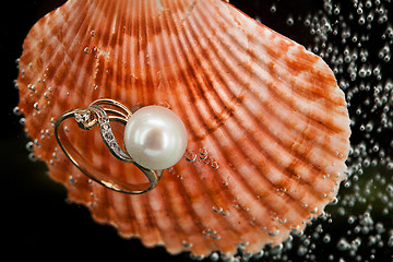 Image showing Ring And Shell