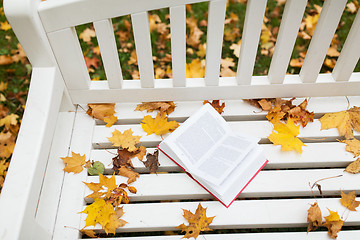 Image showing open book on bench in autumn park