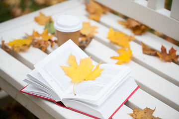 Image showing open book and coffee cup on bench in autumn park