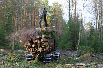 Image showing Forestry forwarder Stacks Up Wood