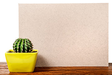 Image showing Cactus on the desk near the beige board