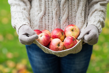 Image showing close up of woman with apples in autumn