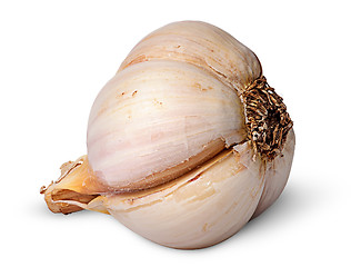 Image showing Single garlic bulb lying on the side