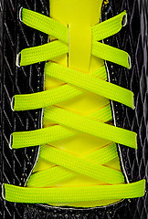 Image showing Closeup of yellow laces