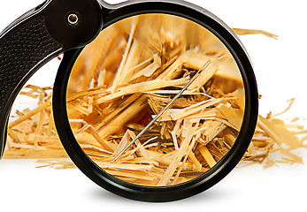 Image showing Magnifier enlarges a needle in haystack