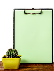 Image showing Cactus on the desk near the greenish board