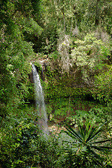 Image showing Small waterfall in Amber mountain national park