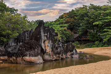 Image showing Landscape of Masoala National Park, Madagascar