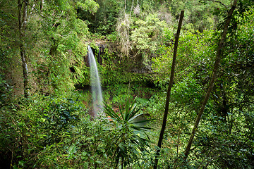 Image showing Small waterfall in Amber mountain national park