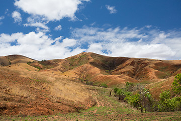 Image showing Traditional Madagascar highland landscape