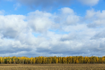 Image showing Nature in autumn season