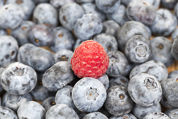 Image showing ripe blueberries, close-up