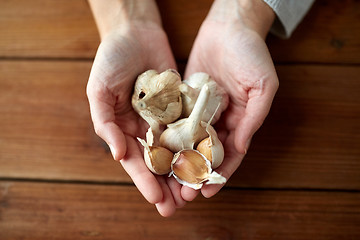 Image showing woman hands holding garlic