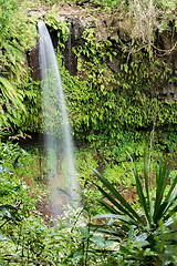 Image showing Small waterfall in Amber mountain national park