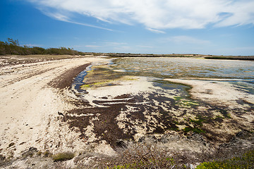 Image showing paradise sand beach in Madagascar, Antsiranana, Diego Suarez