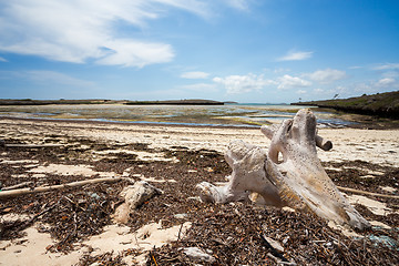 Image showing paradise sand beach in Madagascar, Antsiranana, Diego Suarez