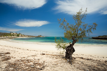 Image showing paradise sand beach in Madagascar, Antsiranana, Diego Suarez