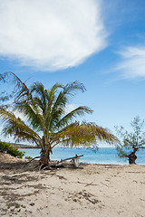 Image showing abadoned boat in sandy beach in Antsiranana bay Madagascar