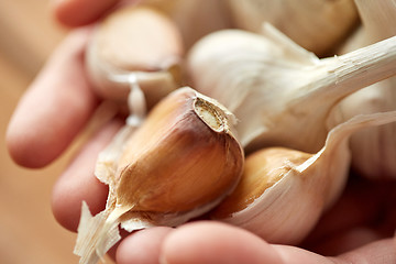 Image showing close up of woman hands holding garlic