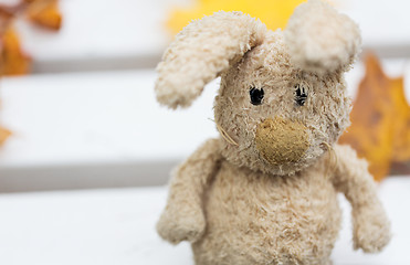 Image showing close up of toy rabbit on bench in autumn park