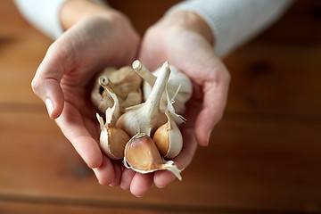 Image showing woman hands holding garlic