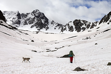 Image showing Hiker with dog at spring snowy mountains in cloudy morning