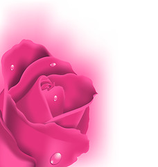 Image showing Celebration card with pink rose, copy space for your text
