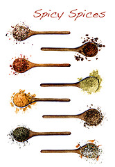 Image showing Collection of Spices in Wooden Spoons