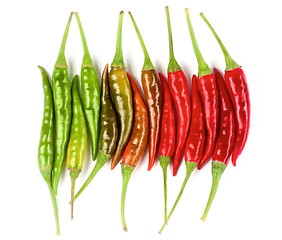 Image showing Arrangement of Chili Peppers