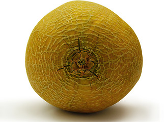 Image showing melon