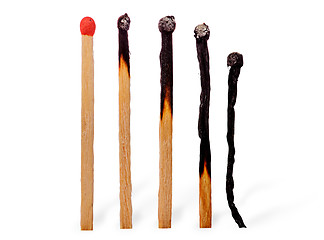 Image showing Closeup of several burnt matches