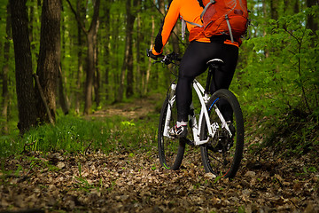 Image showing Cyclist Riding the Bike on a Trail in Summer Forest