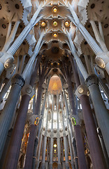 Image showing Sagrada Familia Interior