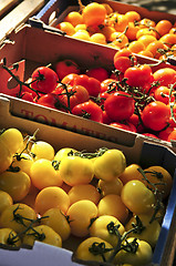Image showing Tomatoes on the market