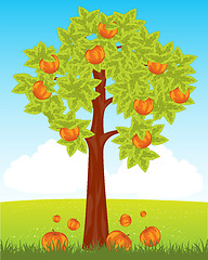 Image showing Aple tree with red apple