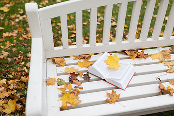 Image showing open book on bench in autumn park