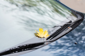 Image showing close up of car wipers with autumn maple leaf