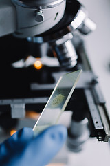 Image showing Crop hands holding glass for microscope